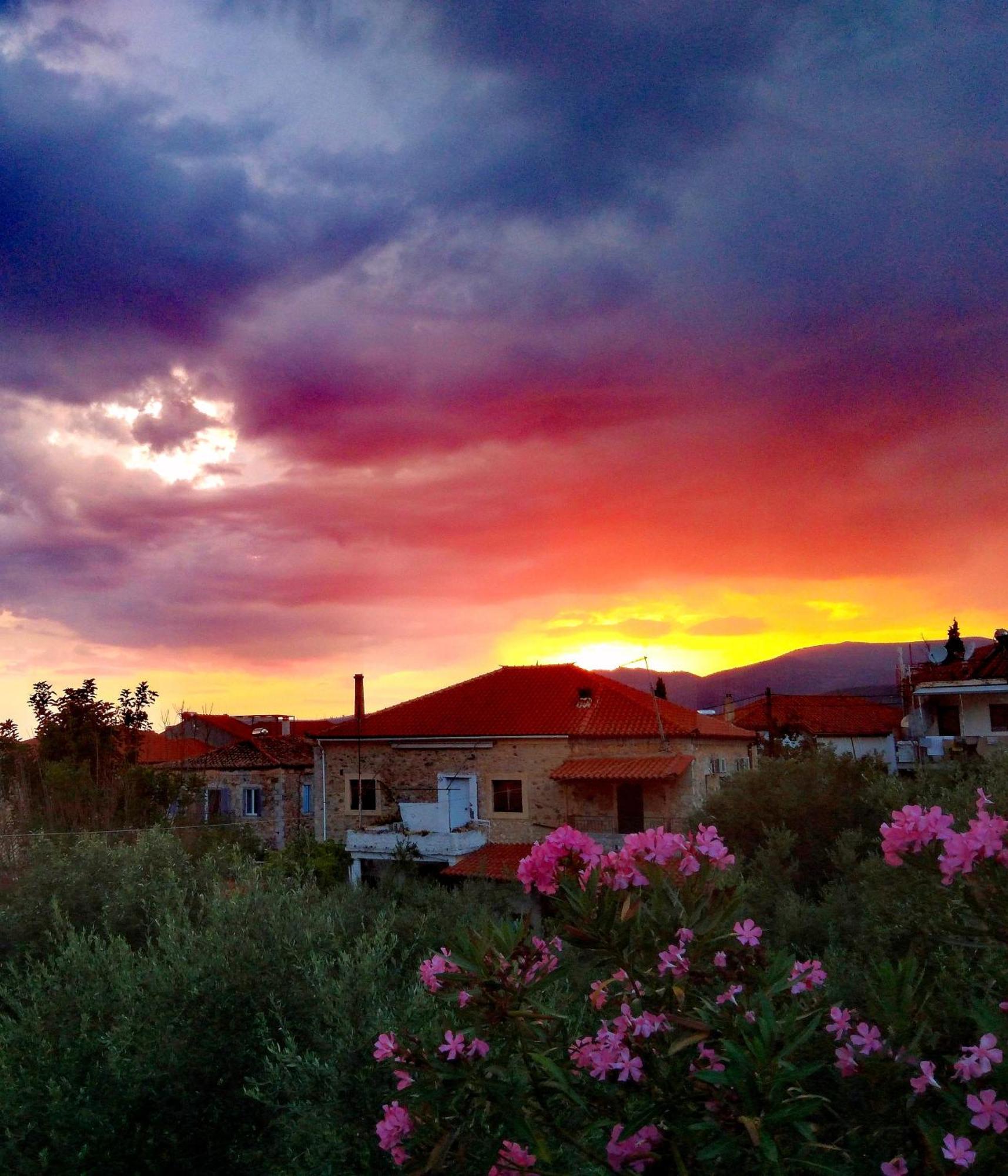 Sea And Sun Apartments 304 Ιδιωτικό Διαμέρισμα Kardhamili Eksteriør billede